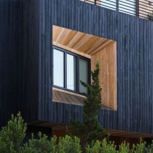 Charred Larch PAR Timber Boards 20mm | Graphite Colour