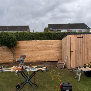 Treated Fence Slats Scandinavian Spruce Rainscreen - Oak Colour